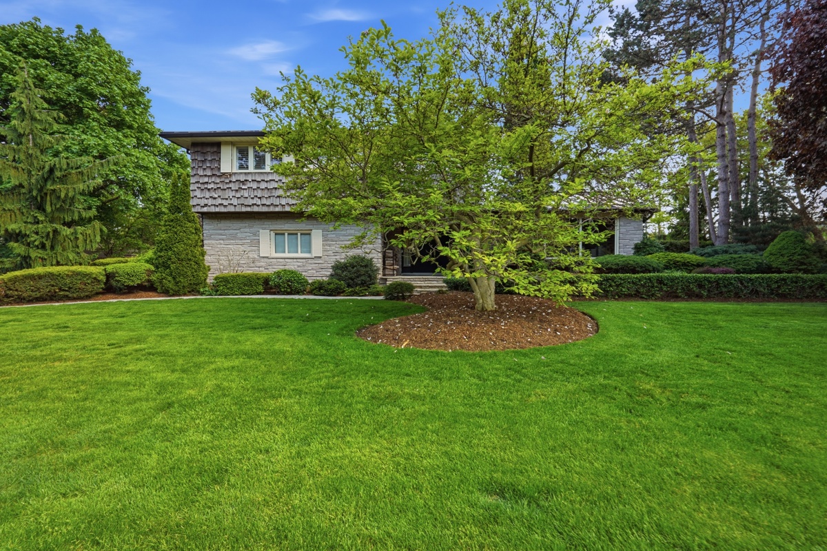 Backyard garden and greenery