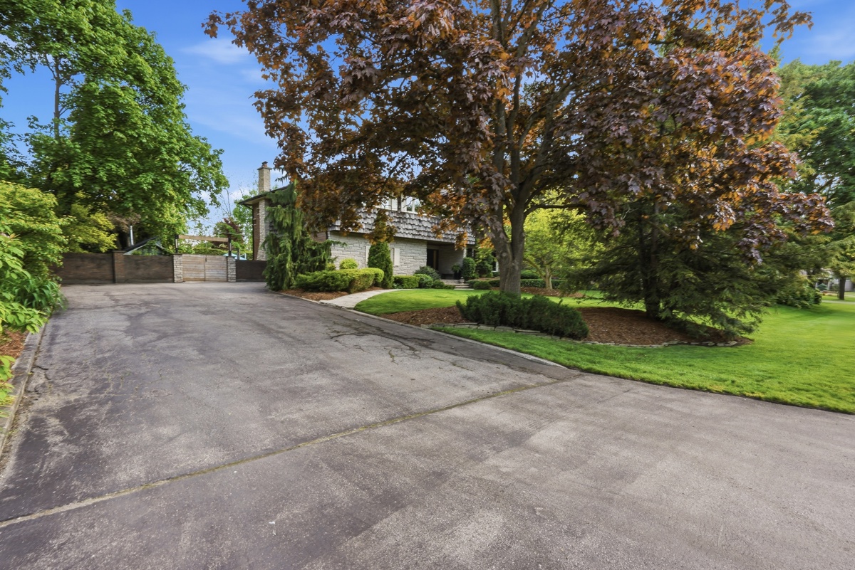 Mature trees — estate lot, Uplands Estates