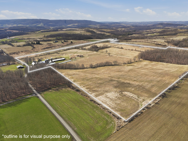 487 Saxton Hill Rd, Granville Summit, PA 16926, USA