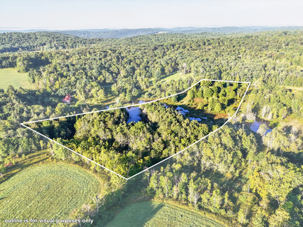 1172 Lamb Rd, Rome, PA 18837, USA