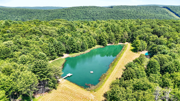 319 Reniff Rd, Lockwood, NY 14859, USA