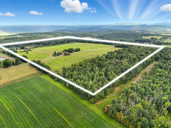 780 Noble Rd, Ulster, PA 18850, USA